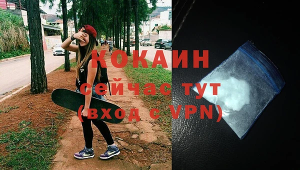 каннабис Новозыбков