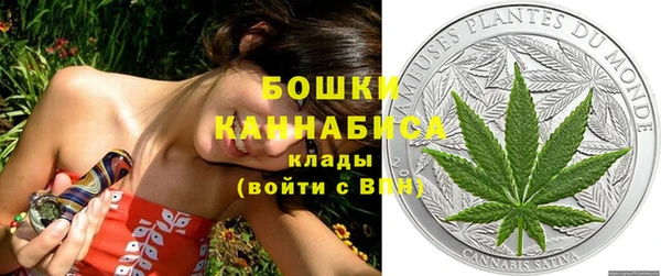 каннабис Новозыбков