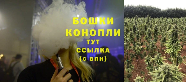 MDMA Новодвинск