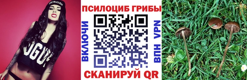 Галлюциногенные грибы Psilocybe  Артёмовск 